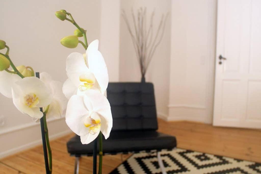 Next To New Harbor / 3 Bedroom & 2 Bath Rooms Копенгаген Екстер'єр фото